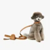 Portabolsas para mascotas con correa de muñeca en piel con estampado Monogram Portabolsas para mascotas con correa de muñeca en piel con estampado Monogram